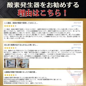 酸素発生器 酸素濃縮器 酸素吸入器 酸素缶 空...の詳細画像5