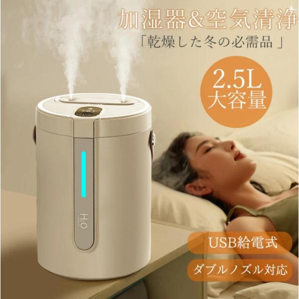 加湿器 大容量 2.5L 卓上 超音波式 卓上加湿器 USB かしつき ダブル噴霧  超静音  空気...