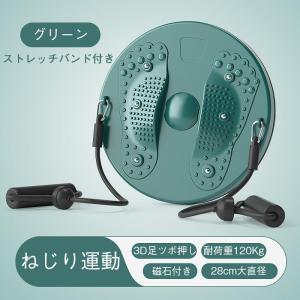 ツイストボード ツイストプレート ストレッチバ...の詳細画像1