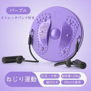 ツイストボード ツイストプレート ストレッチバ...の詳細画像2