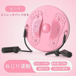 ツイストボード ツイストプレート ストレッチバ...の詳細画像3
