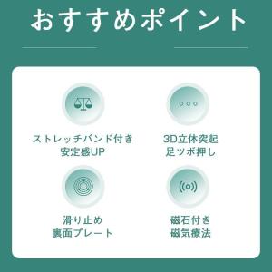 ツイストボード ツイストプレート ストレッチバ...の詳細画像5