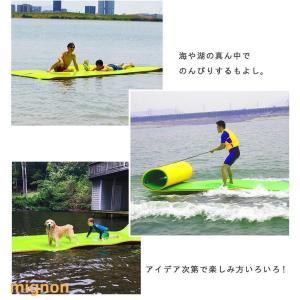 フローティング マット ウォーターマット 複数...の詳細画像1
