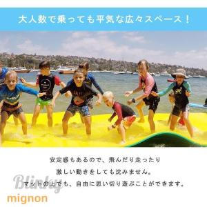 フローティング マット ウォーターマット 複数...の詳細画像2