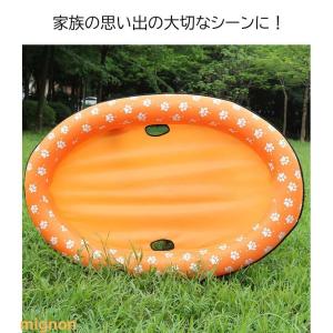 ペット用 浮き輪 ワンちゃん ドッグ フロート...の詳細画像4