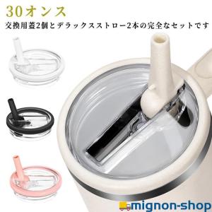 南部鉄器 ナンブテッキ 調理器具 DISNEY ディズニー ミッキー