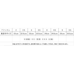 トウシューズ ブロック アクシオム 細幅〜普通...の詳細画像3