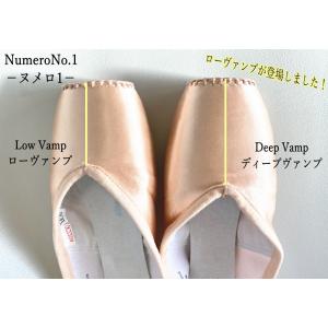 トウシューズ La Pointe ラ ポアント...の詳細画像1