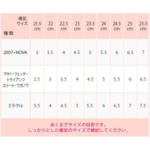 トウシューズ グリシコ 2007PRO FLE...の詳細画像1