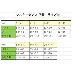 バレエ 下着 ボディー ファンデーション 透け...の詳細画像4