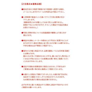 バレエ 下着 ボディー ファンデーション 透け...の詳細画像5