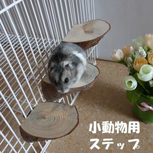 小動物用 足場 台 ステップ ケージに取り付け かじり木