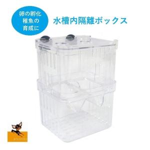 繁殖隔離ボックス 繁殖ボックス 孵化ボックス 水槽内ケース