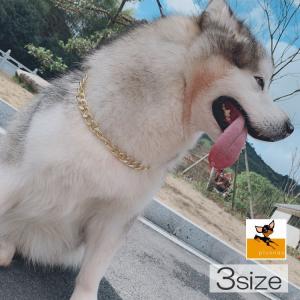 大型犬首輪チェーン 犬用品 の商品一覧 ペット用品 生き物 通販 Yahoo ショッピング