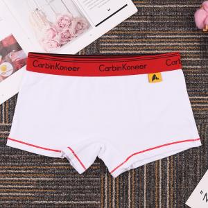 ボックスショーツ ボクサーパンツ スタンダード...の詳細画像5