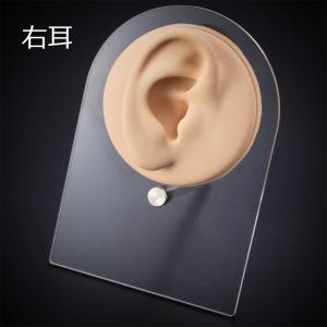 アクセサリーディスプレイ ピアス用 ボディピア...の詳細画像5