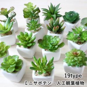 人工観葉植物 フェイクサボテン フェイクグリーン...の商品画像