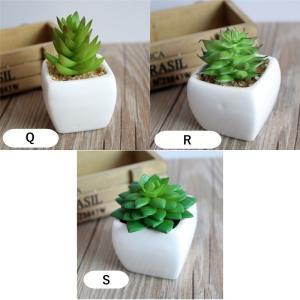 人工観葉植物 フェイクサボテン フェイクグリー...の詳細画像5