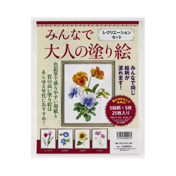 【新品】（まとめ）大人の塗り絵レクリエーションセット【×2セット】