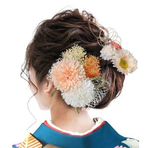 髪飾り 9点セット ドライフラワー シルクフラ...の詳細画像1
