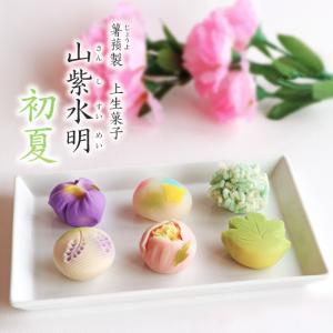 お茶元胡蝶庵 母の日 送料込み！薯蕷製上生菓子 山紫水明 (さんしすいめい)〜初夏〜＜6個入＞ ※完全予約制 同梱不可 和菓子｜miharakochouan