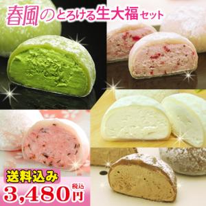 お茶元胡蝶庵 スイーツ 大福 ギフト 送料込み 春風のとろける生大福セット 誕生日 御祝 内祝 お取り寄せ 抹茶 和菓子 ホワイトデー 母の日