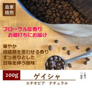 ゲイシャ エチオピア モカ 300g 自家焙煎 コーヒー豆 : 三保乃珈琲