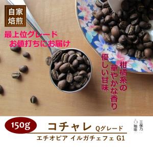 カリタ・水出しコーヒー器具 アクア3000（約25杯用） ※メーカー直送品