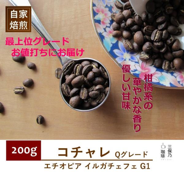モカ イルガチェフェ エチオピア コチャレ 200g 自家焙煎 コーヒー豆 ニュークロップ