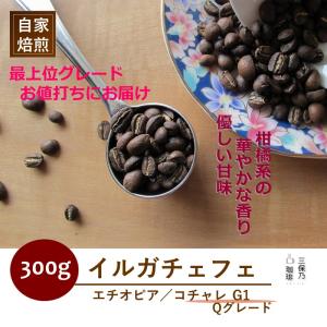 モカ イルガチェフェ エチオピア コチャレ 300g 自家焙煎 コーヒー豆｜mihono-coffee