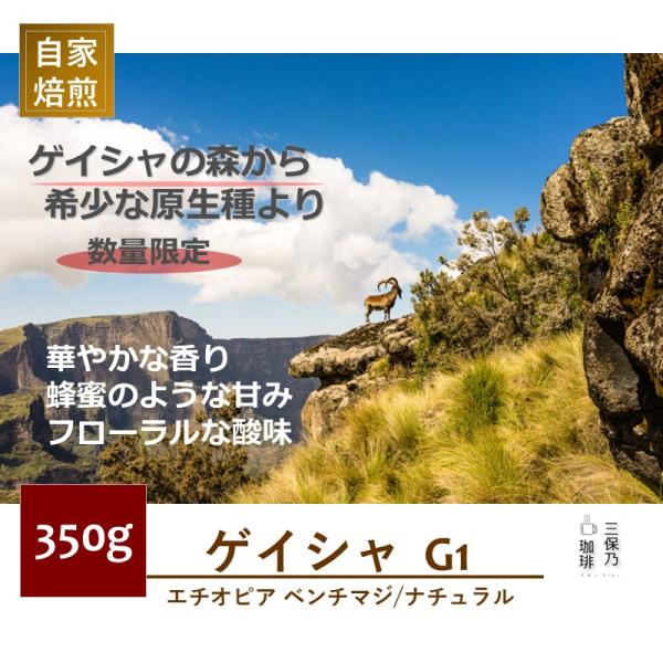 エチオピア ゲイシャ G1 ナチュラル ハイロースト モカ 350g 自家焙煎 コーヒー豆
