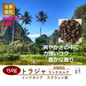 インドネシア トラジャ ランテカルア 有機栽培 150g 自家焙煎 コーヒー豆