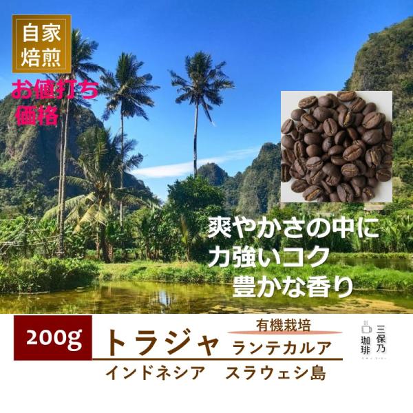 インドネシア トラジャ ランテカルア 有機栽培 200g 自家焙煎 コーヒー豆