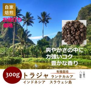 インドネシア トラジャ ランテカルア 有機栽培 300g 自家焙煎 コーヒー豆