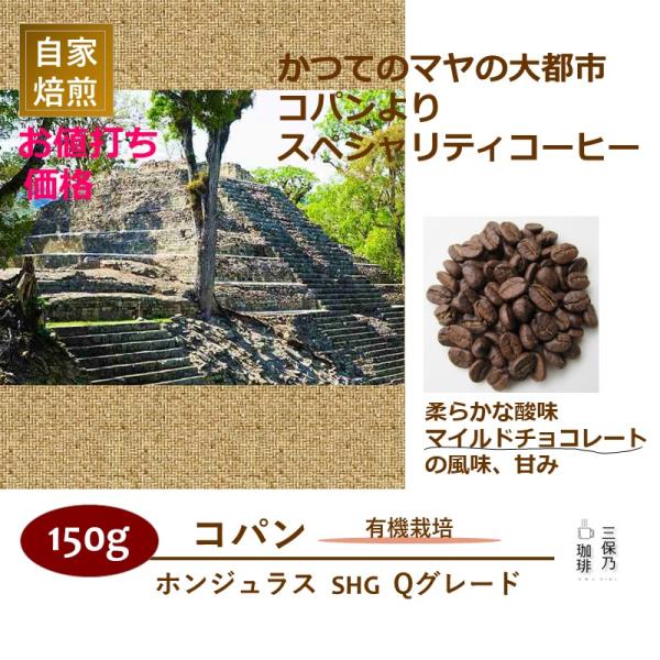 ホンジュラス SHG コパン(有機栽培) 150g 自家焙煎 コーヒー豆