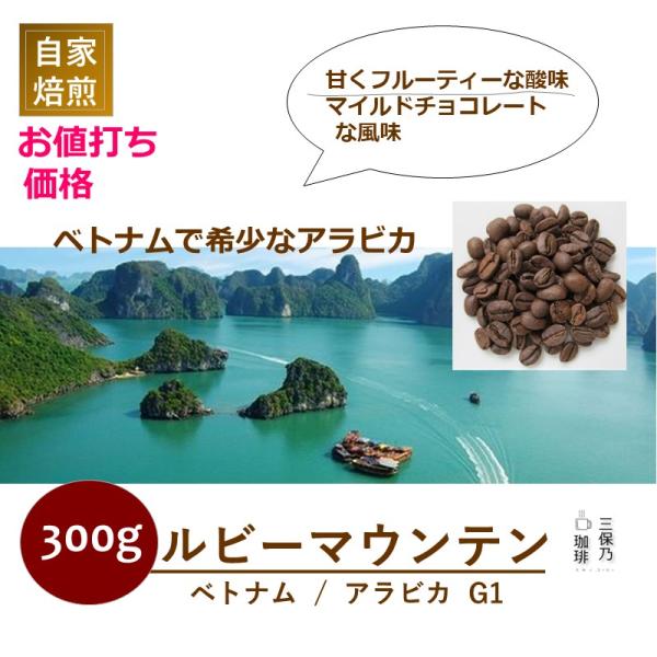 ベトナム ルビーマウンテン 300g 自家焙煎 コーヒー豆