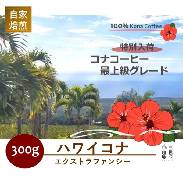 ハワイコナ エクストラファンシー アロハヒルズ農園 300g 自家焙煎 コーヒー豆