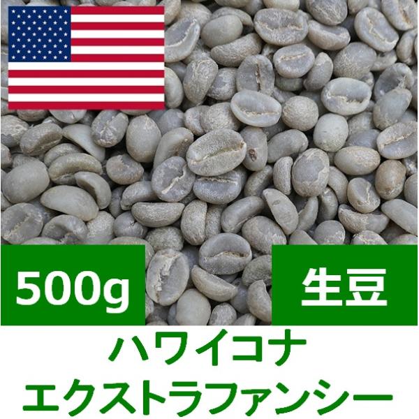コーヒー生豆  ハワイコナ エクストラファンシー（アロハヒルズ農園） 500g