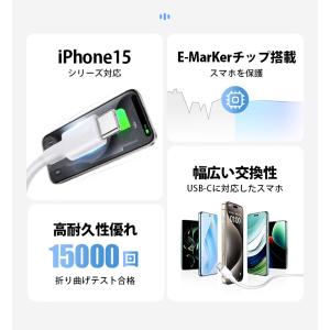 81W 5AType-C to Type-C ...の詳細画像3