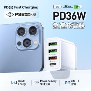 mii-st_spqcharger-4in1