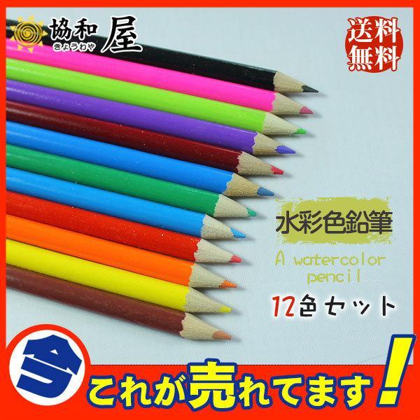 水彩色鉛筆　12色セット 文房具 油性色鉛筆 絵色鉛筆 子供お絵かき 大人の塗り絵 高品質 発色がよ...