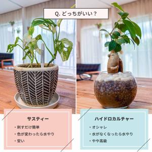 サスティー Lサイズ ホワイト/グリーン/ブラ...の詳細画像1