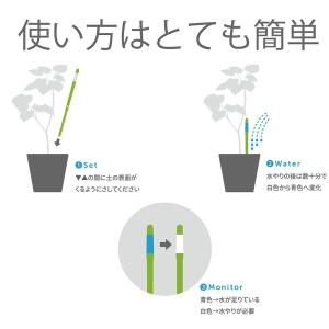 サスティー Lサイズ ホワイト/グリーン/ブラ...の詳細画像3