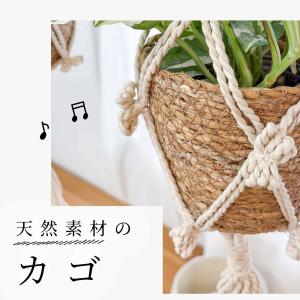 観葉植物 ハンギング 吊り下げ 3種から選べる...の詳細画像1