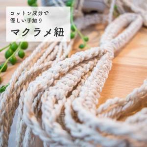 アイビーハンギング 観葉植物 本物 吊り下げ ...の詳細画像2