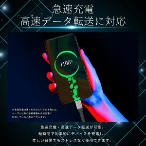 iPhone 充電ケーブル 2本セット ライト...の詳細画像2