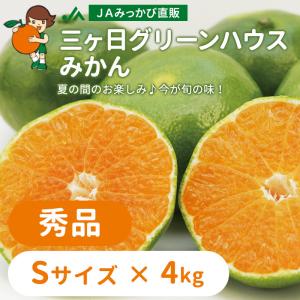 みかん グリーンハウスみかん 秀品 Sサイズ 4kg ＪＡみっかび 産地直送 三ヶ日ミカン
