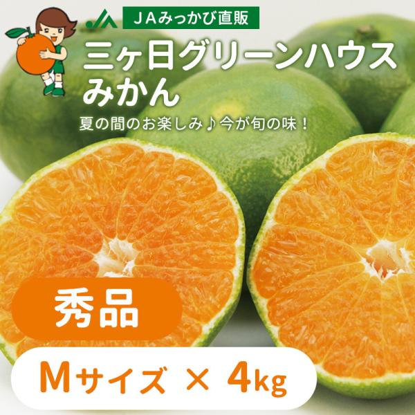 みかん グリーンハウスみかん 秀品 Mサイズ 4kg ＪＡみっかび 産地直送 三ヶ日ミカン
