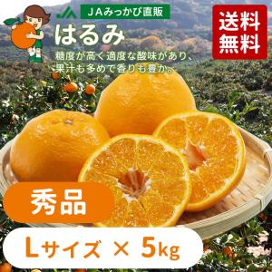 みかん 青島みかん 良品 2Lサイズ 7kg 【年明け発送：2026年1月5日〜2
