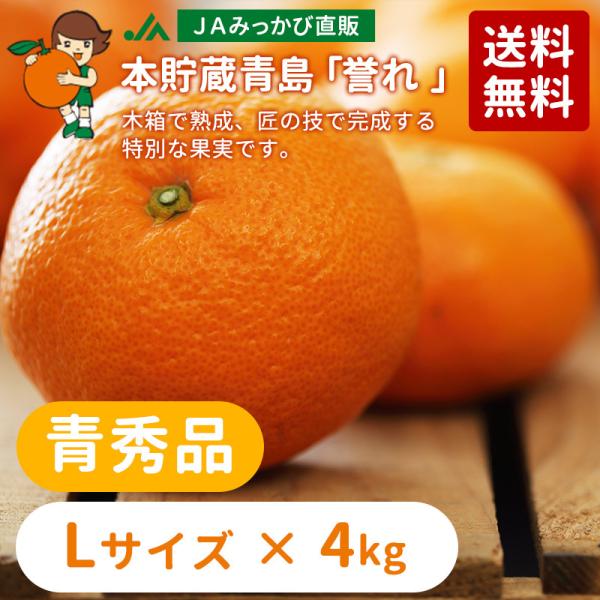 【3月発送】みかん 本貯蔵青島「誉れ 」青秀品 Lサイズ 4kg 【他の商品と同時購入不可商品】ＪＡ...